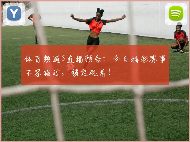 体育频道5直播预告:今日精彩赛事不容错过,锁定观看!